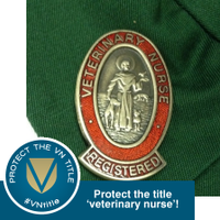 RVCVeterinaryNurses 🐾📚🎓 (@rvcvn) 's Twitter Profile