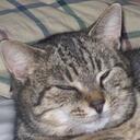 Paige Casper - @survivor_of_dv - Twitter