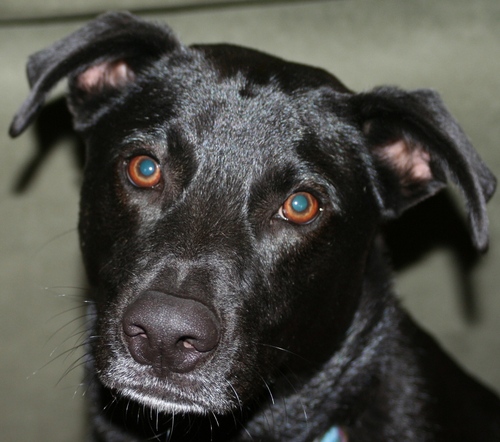 LauraDinTX's profile picture. Blissfully unaware