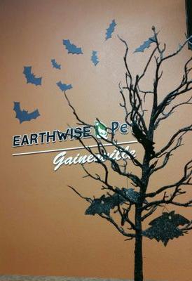 EarthwiseGville's profile picture.