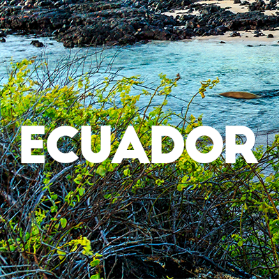 Ecuador Profile