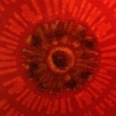 Weston_Bath's profile picture. 