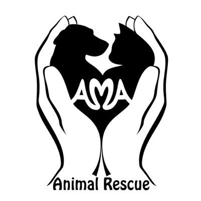 A 501(c)3 NYS rescue shelter working with severe cases of abuse and neglect amongst companion animals⁣🐾⁣⁣⁣ Contact: amaanimalrescue@gmail.com