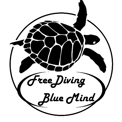 bluemindapnea's profile picture. 