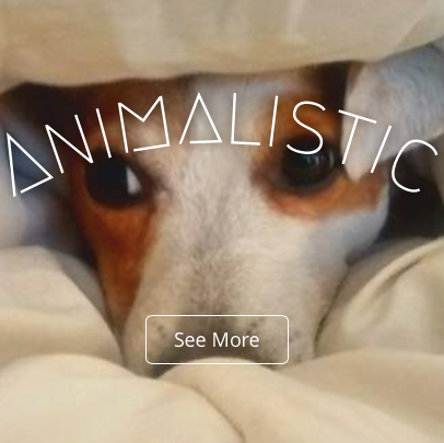 Animalistic Web (@AnimalisticWeb) | Twitter