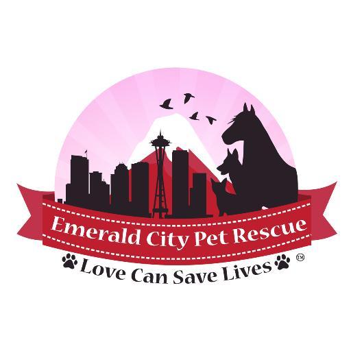 Your one stop spot to shop for all your pet's needs, with the added bonus of all of the profits going right back into the rescue to help us save more lives!