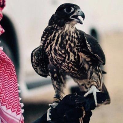 كررها : سُبحانك اللهم وبحمدك ، أشهد أن لا إله إلا أنت ، أستغفرك وأتوب إليك .