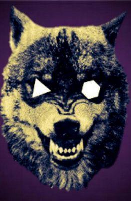 Y_ShadowWolf_Y's profile picture. 