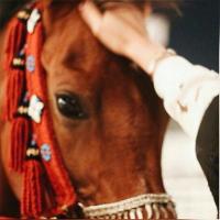 الجـــود (@aljood1212a) Twitter profile photo