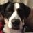 rcohen529's profile image