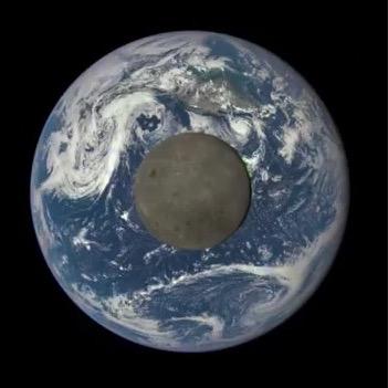 HHS1sanchez's profile picture. High School Social Science Teacher & Mycophile