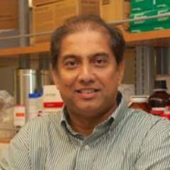 pereraranjan's profile picture.