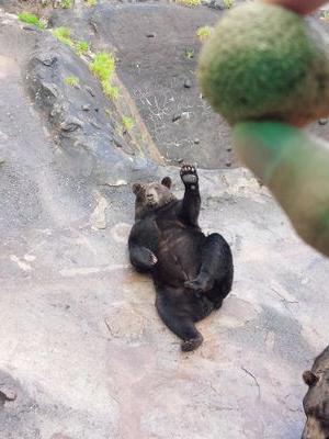 ryu0915hon_aga's profile picture. 駒場☞早稲田商学部　　　　　　　　　　　　　　　85歳まで生きるよ。