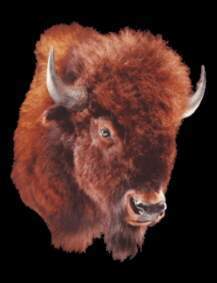 FJPopper's profile picture. I teach city planning at Rutgers and Princeton. I have another Twit acct with last name as Popepr. I created it accidentally and decided I like it.