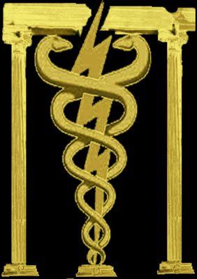 Esp. Fisiologia - Fitoterapia - Exâmes Laboratoriais e Imagem - Coluna Vertebral e Articulações Humanas.