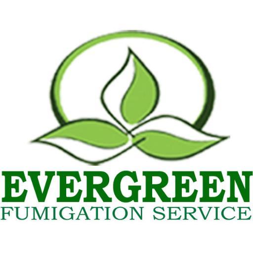 Director At Evergreen Fumigation Service