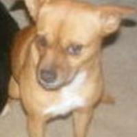 Joe Fisch (@joefischca) 's Twitter Profile Photo Joe Fisch (@joefischca) 's Twitter Profile Photo
