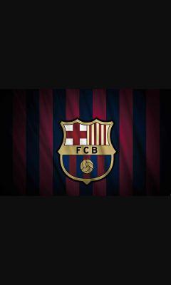 match,transfert,classement sur le FC barcelone en francais!!!   VISCA BARÇAAAAA!!!