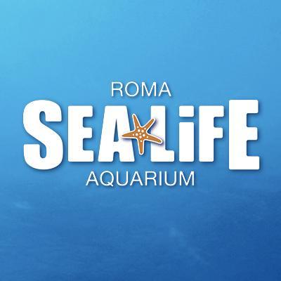 Acquario Di Roma