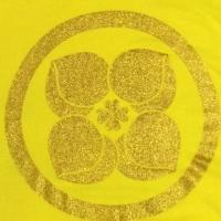 みず (@oooomiizu) 's Twitter Profile