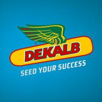 DEKALB España (@dekalb_es) 's Twitter Profile Photo DEKALB España (@dekalb_es) 's Twitter Profile Photo