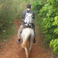 Joseph (@joe_h_punkt) 's Twitter Profile