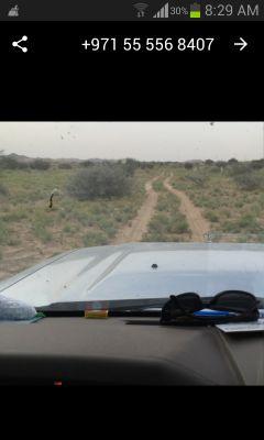 MAlrabieei's profile picture. ‏‏‏ااا