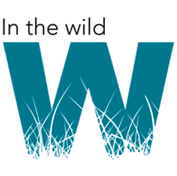 In the Wild is a healthcare communications consultancy specialising in behavioural science.