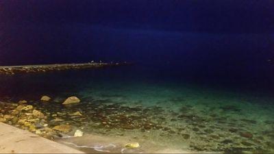 vanesanovellago's profile picture. 