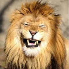 cesarbrunheta's profile picture. 