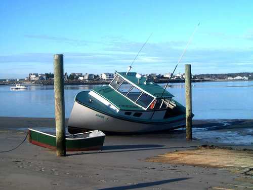 Like a challenge?  Help Save Maine!!!