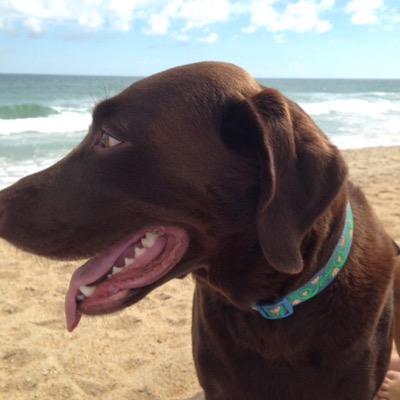 JanetDurkee's profile picture. 