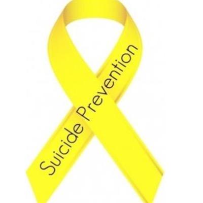 Suicide is the 2nd leading cause of death in 13-25 year olds. By building awareness of this, the hope is that people will become inspired to persevere.