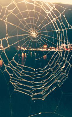 59981354's profile picture. 