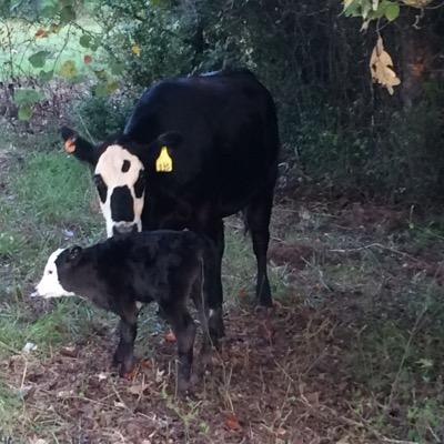 mulledk's profile picture. Ag Technologies Manager at Agri-AFC, LLC.