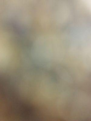 57e0f1e92240436's profile picture.