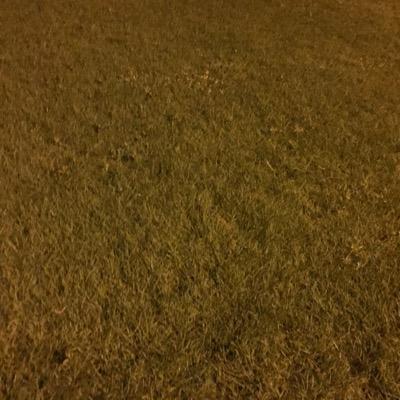 zizo1372's profile picture. 
