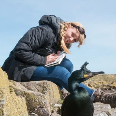 Ex ZFA for BAS on Bird Island. PhD on European Shags. Particularly fascinated by feathered things especially seabirds. Likes to doodle.