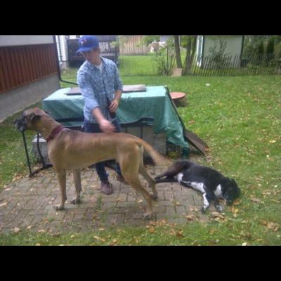 thepoorstudent8's profile picture. 