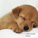 maria gamon - @hottygirl2575 - Twitter