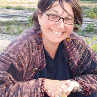 liz kanel (@beyla) 's Twitter Profile