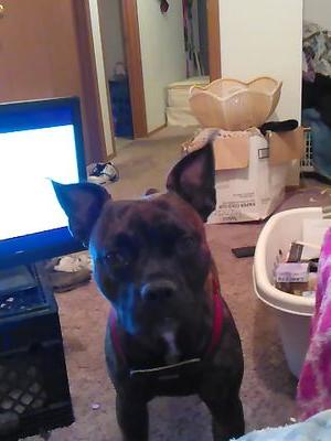 7e6a5aa511e84f4's profile picture. 