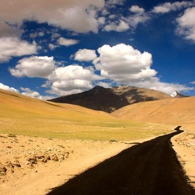 RahulDawn6's profile picture. 