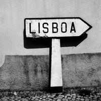 Web Summit Lisbon NON-OFFICIAL (@websummitlisbon) 's Twitter Profile