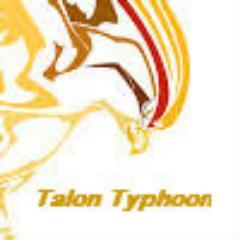 TalonTyphoon's profile picture. If you like Pokemon TCG, lets plays, shiny hunting and wifi battles. Then follow my youtube page  Talon Typhoon! https://t.co/2XKoi1B34q