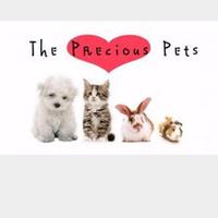 PamperedPetEmporium(@pampered4paws) 's Twitter Profile Photo