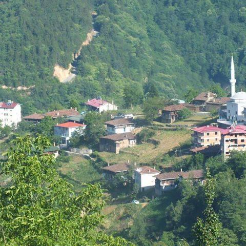 mehmedfatih61's profile picture. 