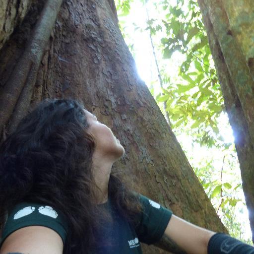 Wildlife conservationist & naturalist.
Field technitian at Calidad, Eval.Amb y Med. Natural en Tragsatec
BSc Env Science & MSc in Zoology at USM (Malaysia)