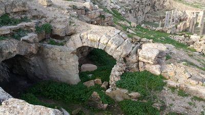 saobeidat's profile picture. life is too short to make halts