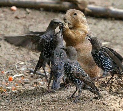 HemantKumar7838's profile picture. 